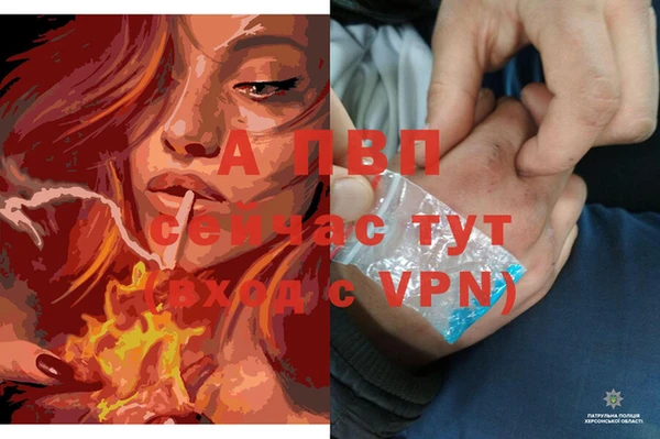 ALPHA-PVP Белокуриха