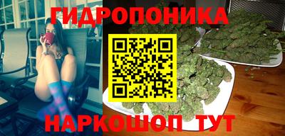 кокс Берёзовский