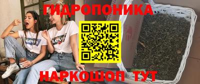 кокс Берёзовский