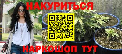 кокс Берёзовский