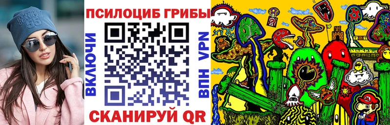 купить закладку  Горно-Алтайск  Псилоцибиновые грибы мицелий 