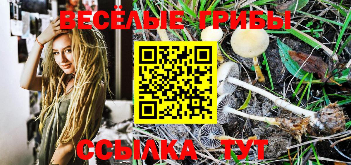 Горно-Алтайск  Галлюциногенные грибы MAGIC MUSHROOMS  как найти закладки  Вход с VPN 