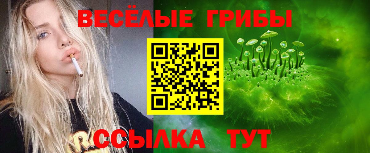Псилоцибиновые грибы мицелий Горно-Алтайск